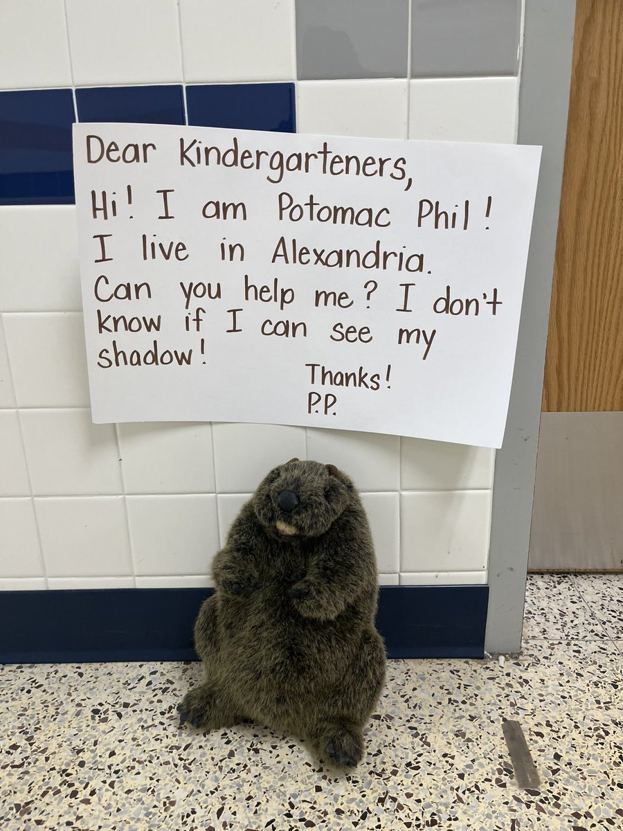 Ransom Rockets tweet media