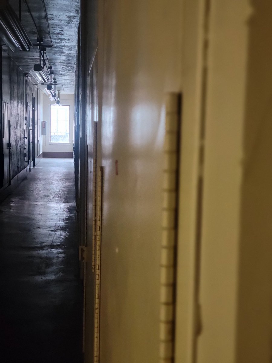 If you believe in gravity, you'll fall for everything.

Gravity, itself, is a theory. A phenomenon of sorts. So let me ask you:

What pulls to your core?

For me... it's my every breath of afterlife research. And I'm making 🔥. 💯❤️‍🔥
#28dayshaunted #paranormal #aarongthompson