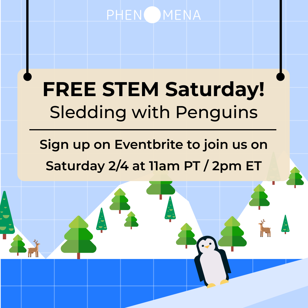 Phenomena tweet media