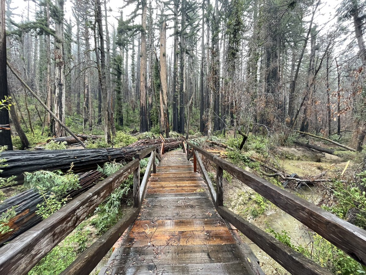 MarkSayre's tweet photo. We’ll take a look at storm damage to CA state parks from the recent storms and what is being done to get them re-opened. 19 parks remain fully closed. #CAParks @KTVU https://t.co/Lq3ctxCF2W