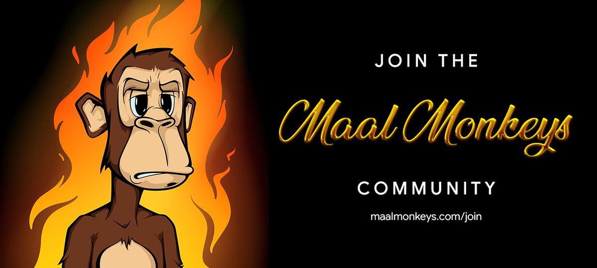 maalmonkeys's tweet photo. APPRENTICESHIPS - become a Maal Monkey! 🎓

✅ JOIN NOW - https://t.co/uajmdLSrGm ✅ https://t.co/yuPW0dCrrk