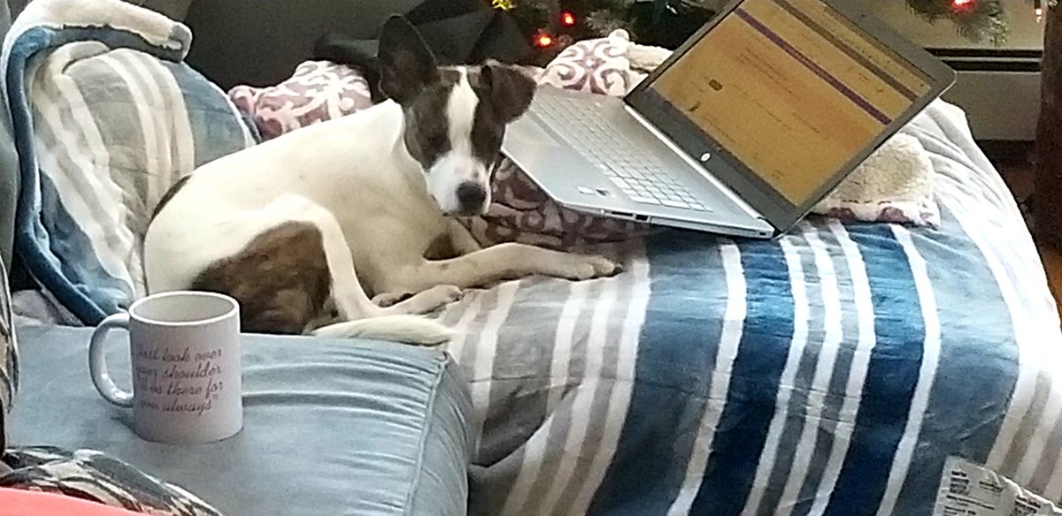 Nellie & Pippa DeSantis tweet media