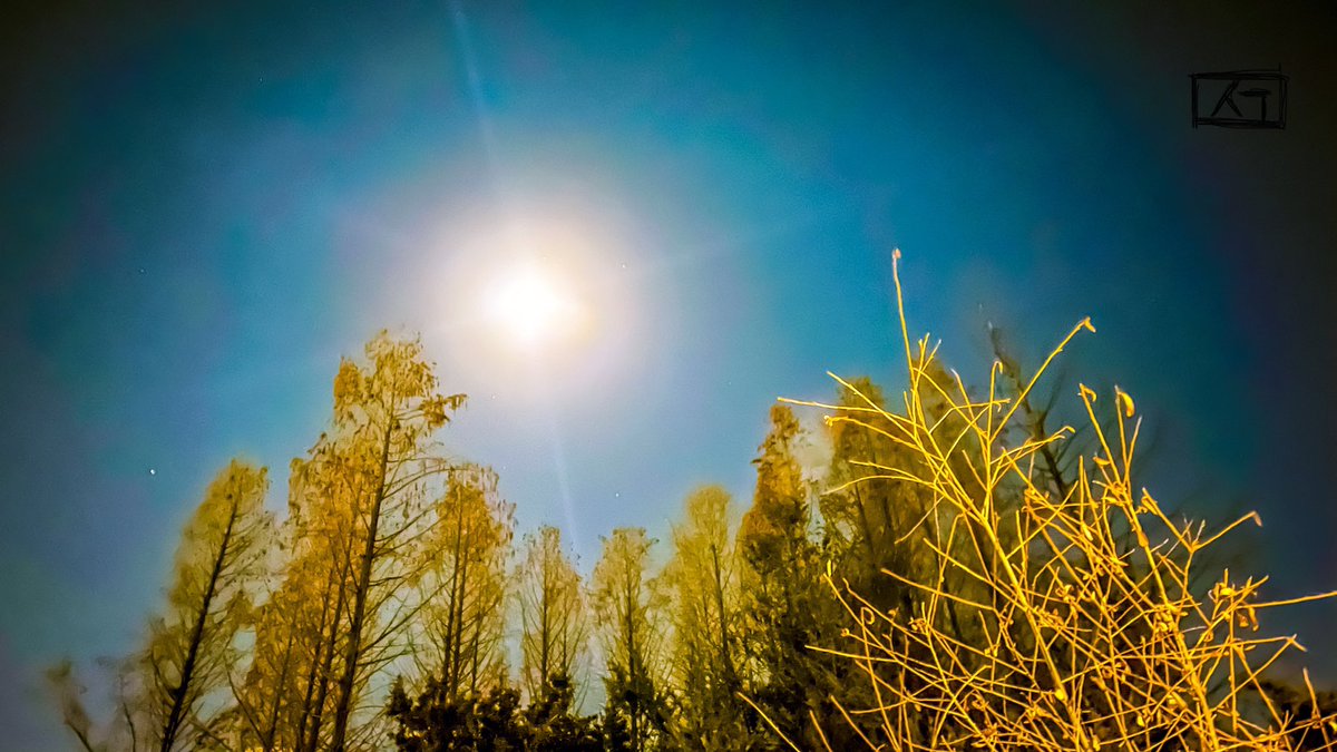 photowhitehouse's tweet photo. The first full moon Eve of the lunar year! The grace of the eve of Jeongwol Daeboreum! 정월대보름 이브의 은총 #정월대보름 #FirstFullMoon #FullMooon https://t.co/Q1FGj6u2bf