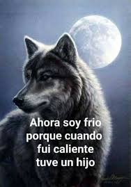 JusttAlex3's tweet photo. @Villalops7 @prixgran013 @chupirrito #freevilla vuela alto 🕊 https://t.co/HZgDREyHCv