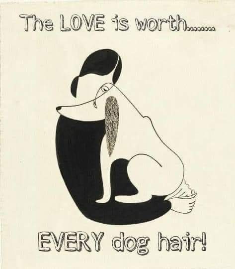 This is so true #truth #dogsarefamily