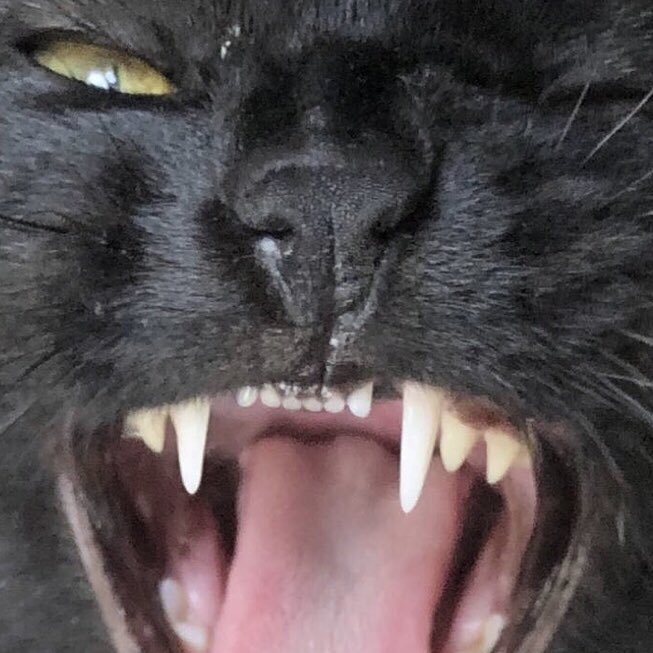 Get your weekend #beats 25% off my full <a href="/Bandcamp/">bandcamp</a> discography 

sublevelmusic.bandcamp.com/music

#BandcampFriday #housemusic