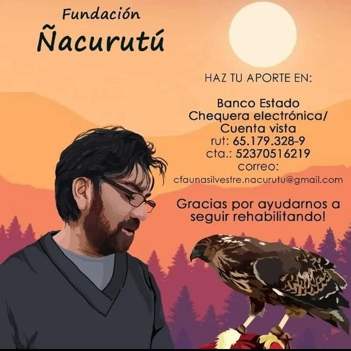 🛑AÚN ESTADO DE EMERGENCIA EN EL BIOBÍO 🛑 Difundimos lo que necesita la @fundacion_nacurutu, uno de los pocos centros de cuidados para aves y fauna nativa que ahora esta recibiendo a los afectados por los incendios 🥹😰🙏🙏. Todos apoyar dentro de lo que podamos 💪🙌💧🌱🐸🦆🦊