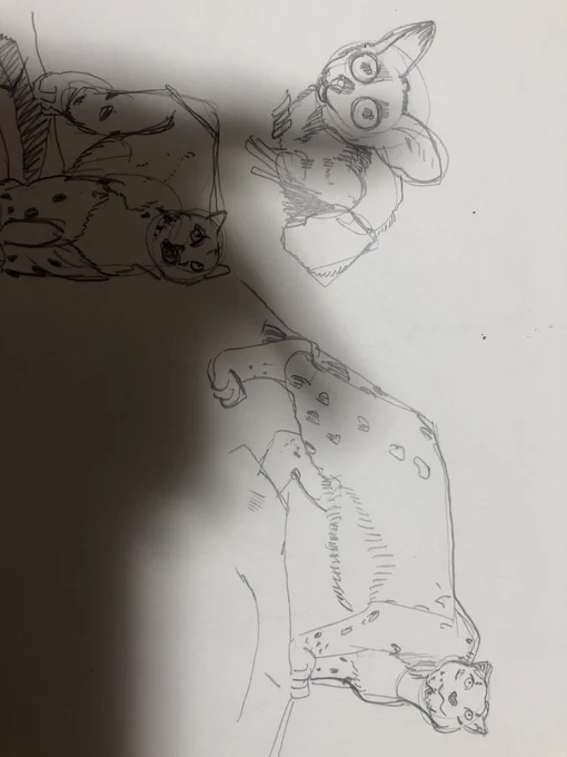 動物の毛の流れがわからんな… 