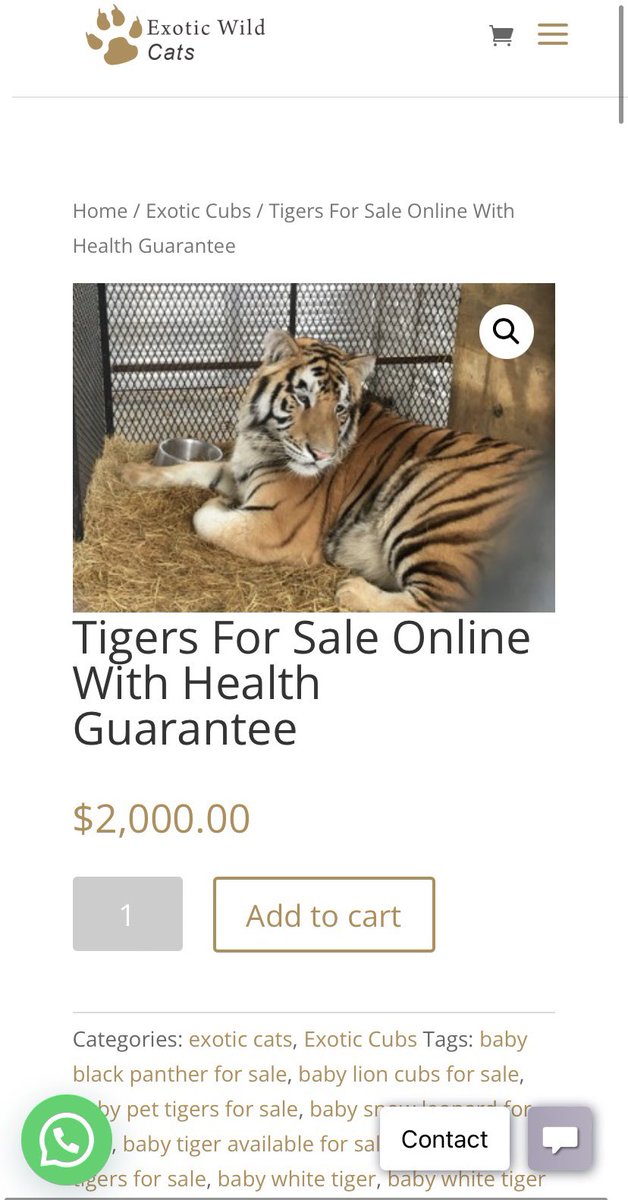 TrudeauCostume's tweet photo. @onl1n3predator Add to cart? https://t.co/5rrWW1SPqe