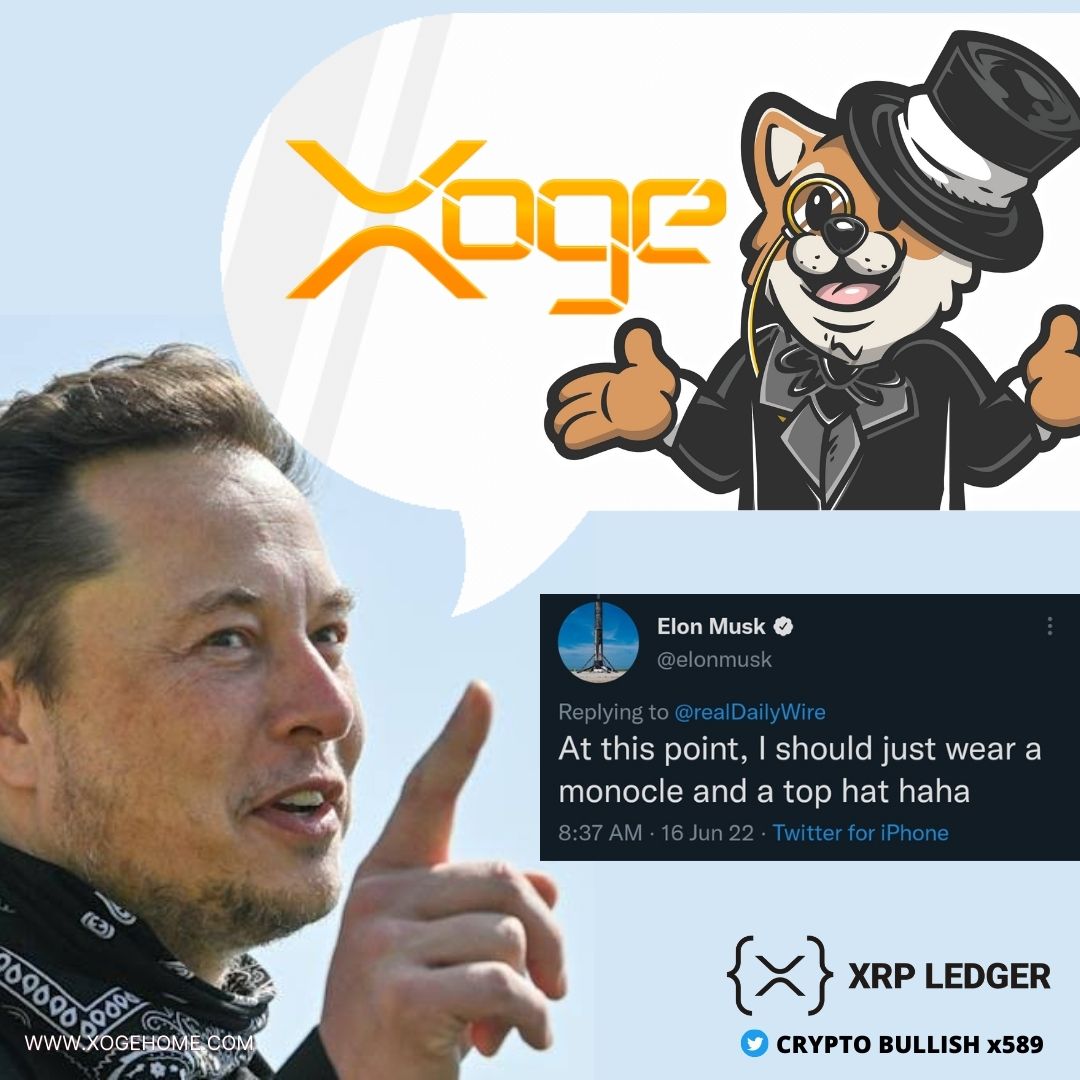 #Xoge x <a href="/elonmusk/">Elon Musk</a> 💥#MULTICHAIN

Hit LIKE
Hit RT
Type #Xoge is the future!