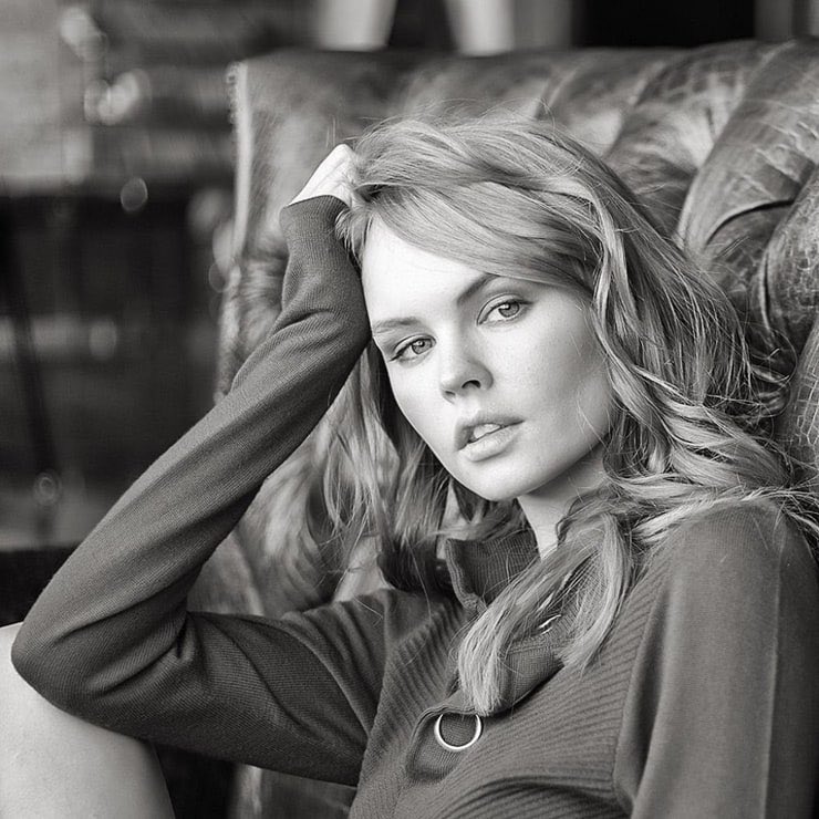 Hollywood tweet media