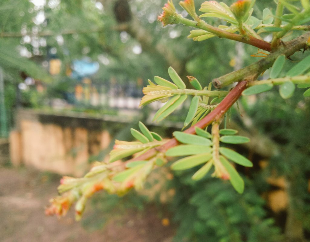 සුබ දවසක් වේවා