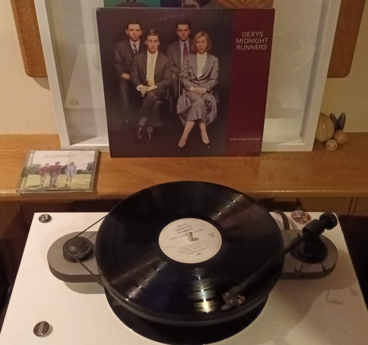 Superdrogidge's tweet photo. #AlbumQuestFeb #4
#EssentialAlbum 🫠
#vinyl 🖤 #vinylrecords 
#Dexys 💚
@DexysOfficial 
#DontStandMeDown ❤️
This Is What She's Like 💚

https://t.co/Dyaxrl26jK https://t.co/x569WOiApM