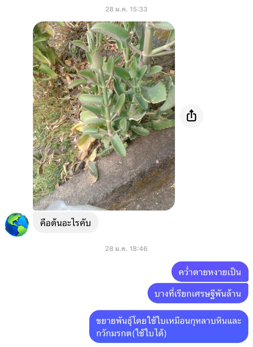 เบสิคยอด. tweet media
