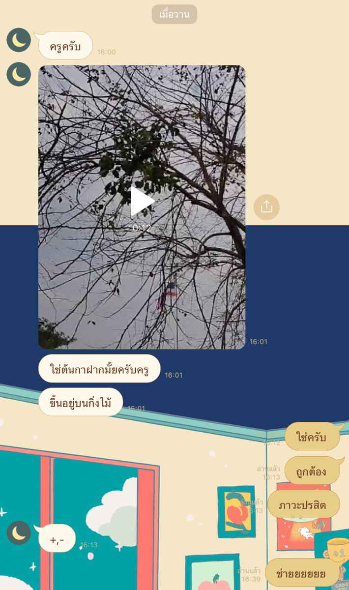 เบสิคยอด. tweet media