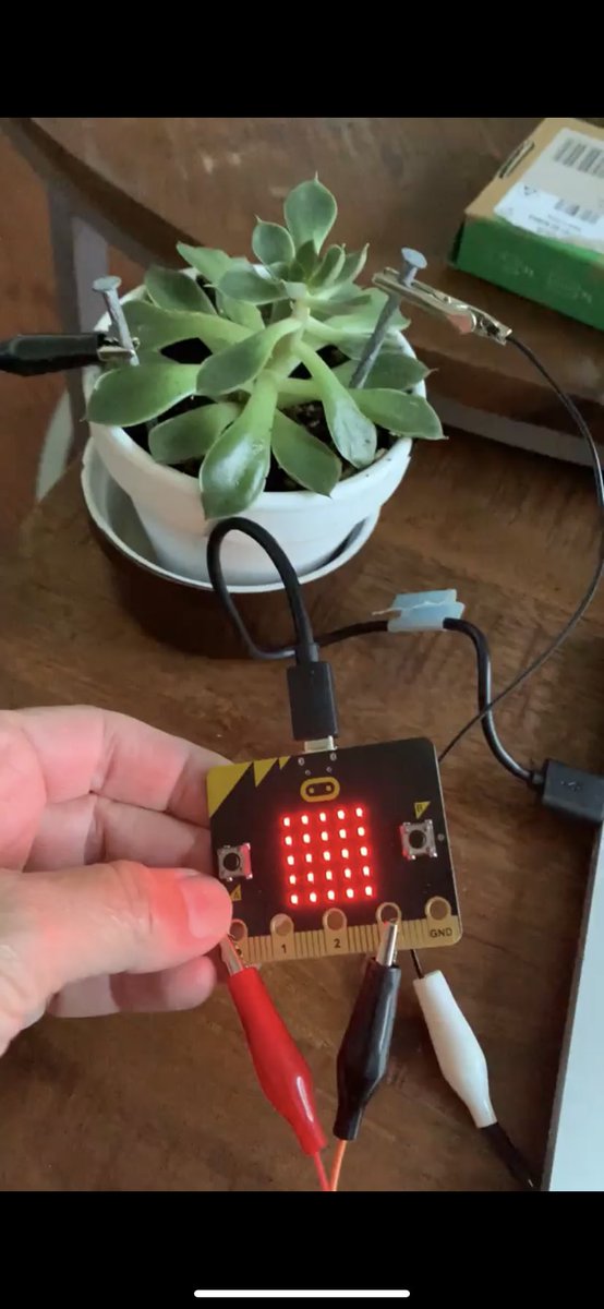 Ann Rigg tweet media