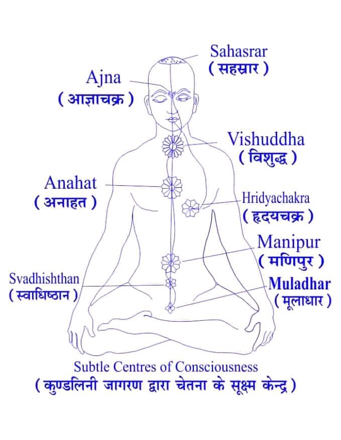 मानव शरीर रुपी ग्रंथ की संरचना का चित्र।
#cancerday2023