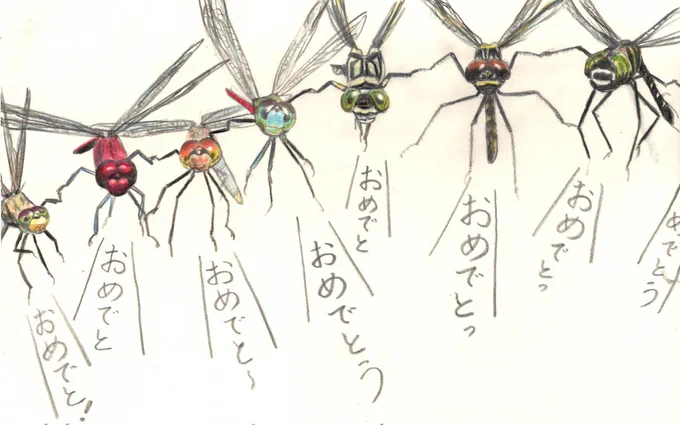 (何かお祝い用カード)
#イラスト #らくがき #トンボ #マイコアカネ #色鉛筆
# 祖父とんぼ好き

また明日🌿 