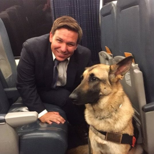 Many of us in Florida feel exactly the same way as this dog.