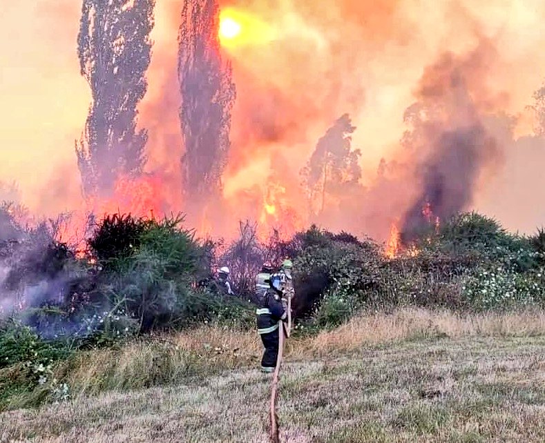 BomberosdeChile's tweet photo. Fuerza de tarea de Bomberos enviadas al Ñuble y Biobío:

IV:     92👨‍🚒y 14 🚒
V:    379👨‍🚒y 58🚒
RM: 160👨‍🚒y 25🚒
VI:   132👨‍🚒y 23🚒
VII:    25👨‍🚒y 11 🚒
XVI:  24👨‍🚒y 12 🚒  
VIII: 166👨‍🚒y 28🚒
X:     45 👨‍🚒y 7 🚒

Apoyo total nacional: 1.023 Bomberos y 178 unidades. https://t.co/e6QwDifvE9