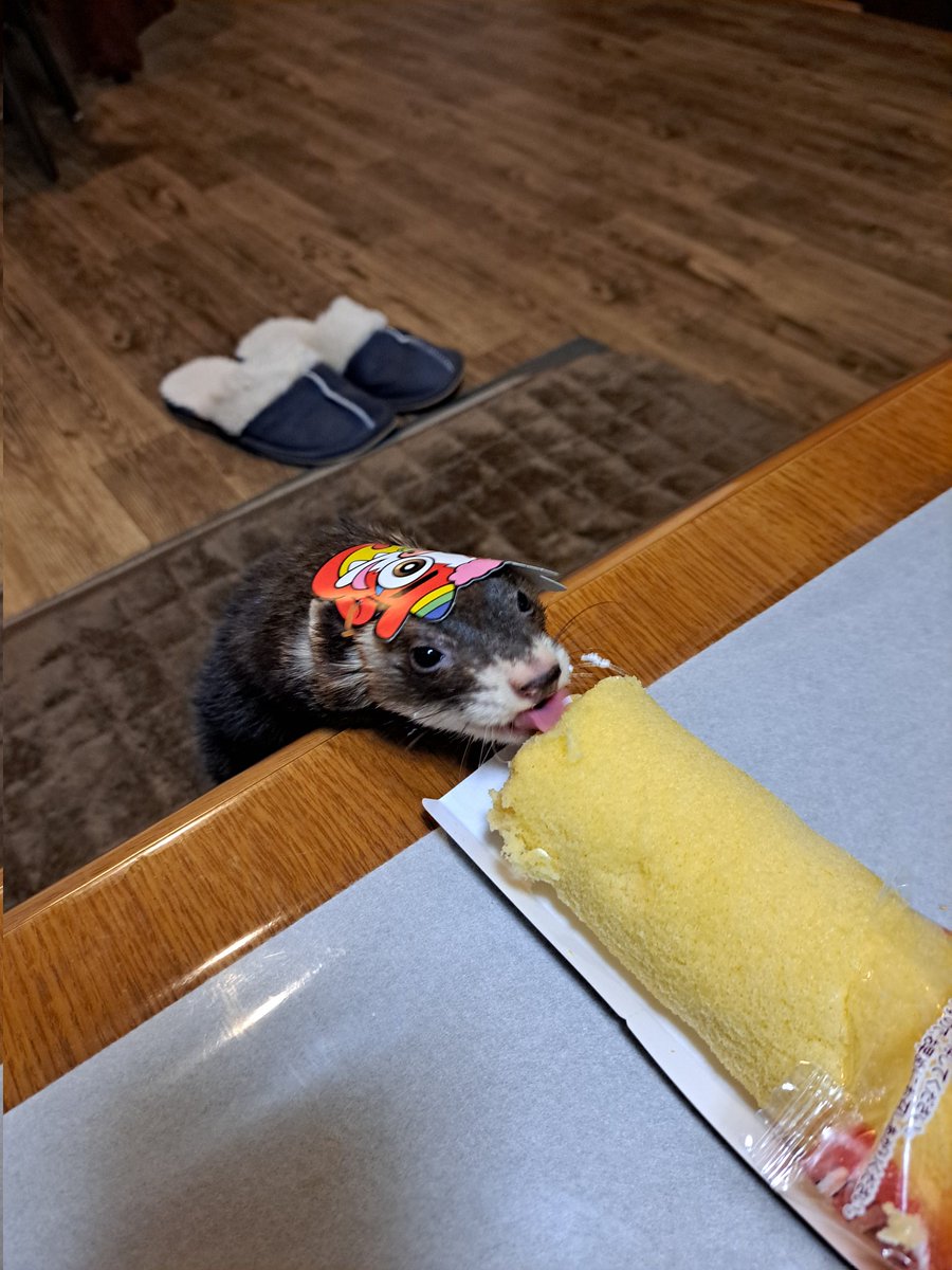 SAKURAIKATANA's tweet photo. 恵方巻き、今年は南南東らしいけどお構い無し～✨ https://t.co/aKrxK9G2CF