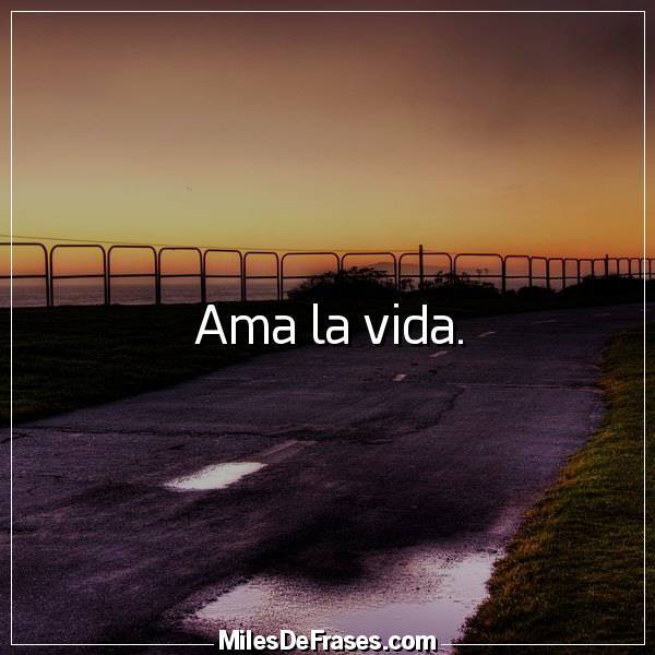 Frases en Imágenes on Twitter "Ama la vida frases citas"