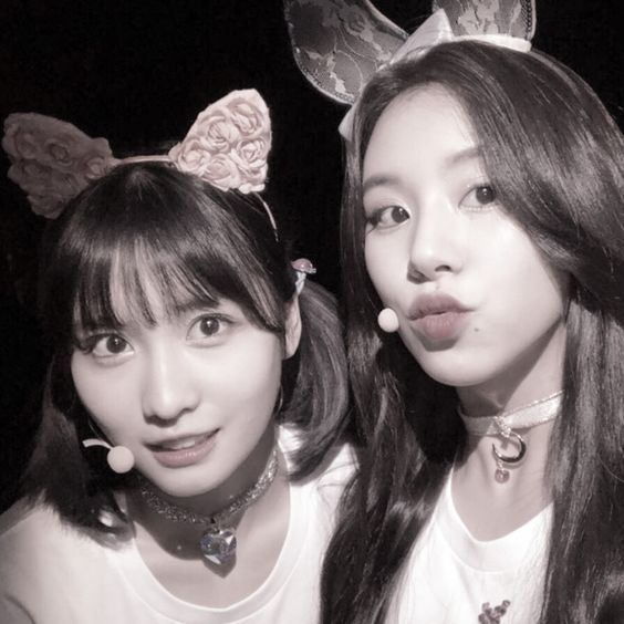 hello! this account will be posting media of twice's #momo &amp; #chaeyoung ! help support to reach more people thank you 💕