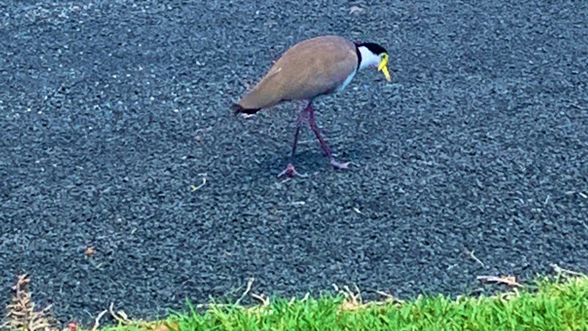 Sam Connor tweet media