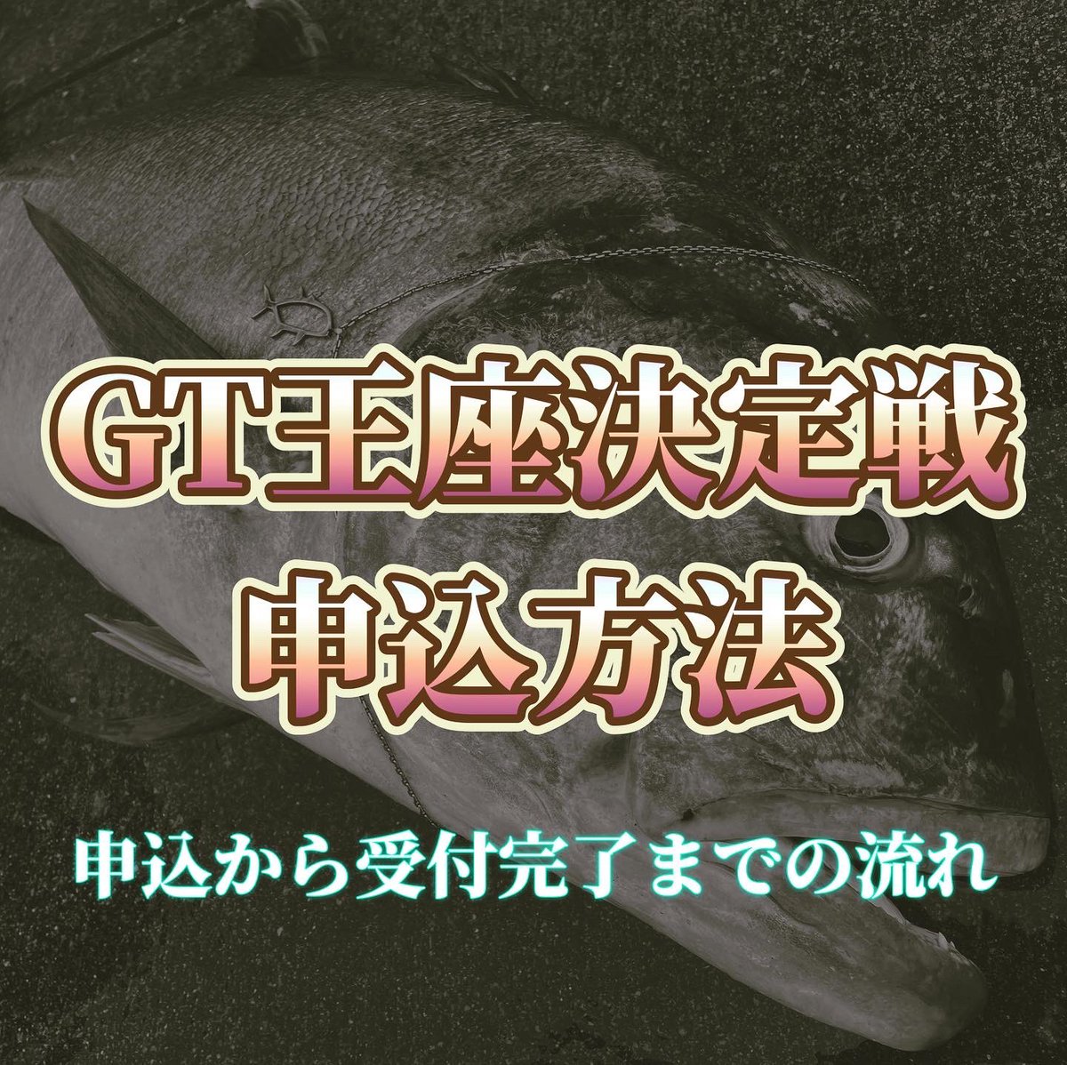 gthuntersaikyo's tweet photo. まだまだ参加者募集中です！申込期間は３月３１日まで、ぜひご参加ください。
#GT王座決定戦#釣り大会#GT釣り#打ち込み釣り#ルアー釣り#ロウニンアジ#浪人鯵#ガーラ#カマジー#大物釣り https://t.co/iVn9EuARBR