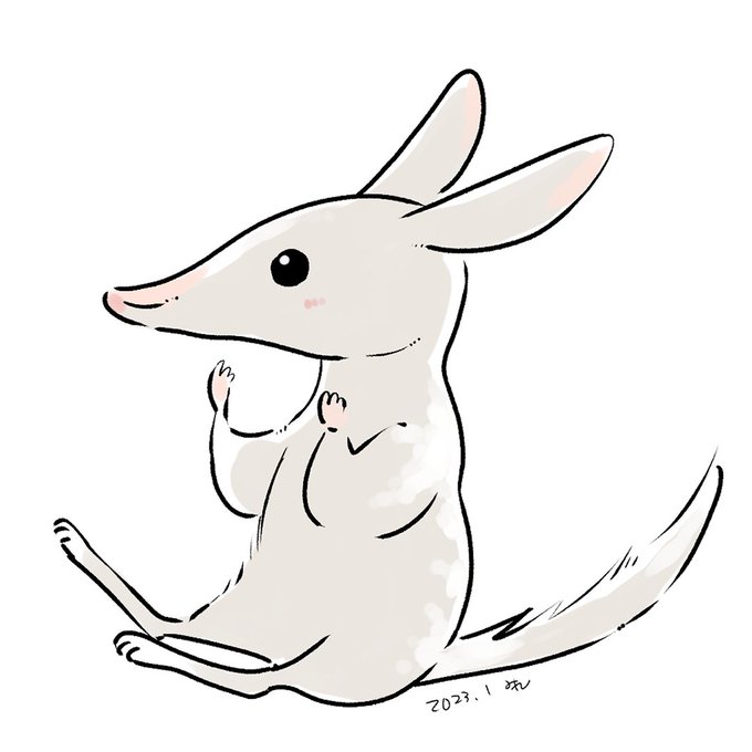 ポッサム 