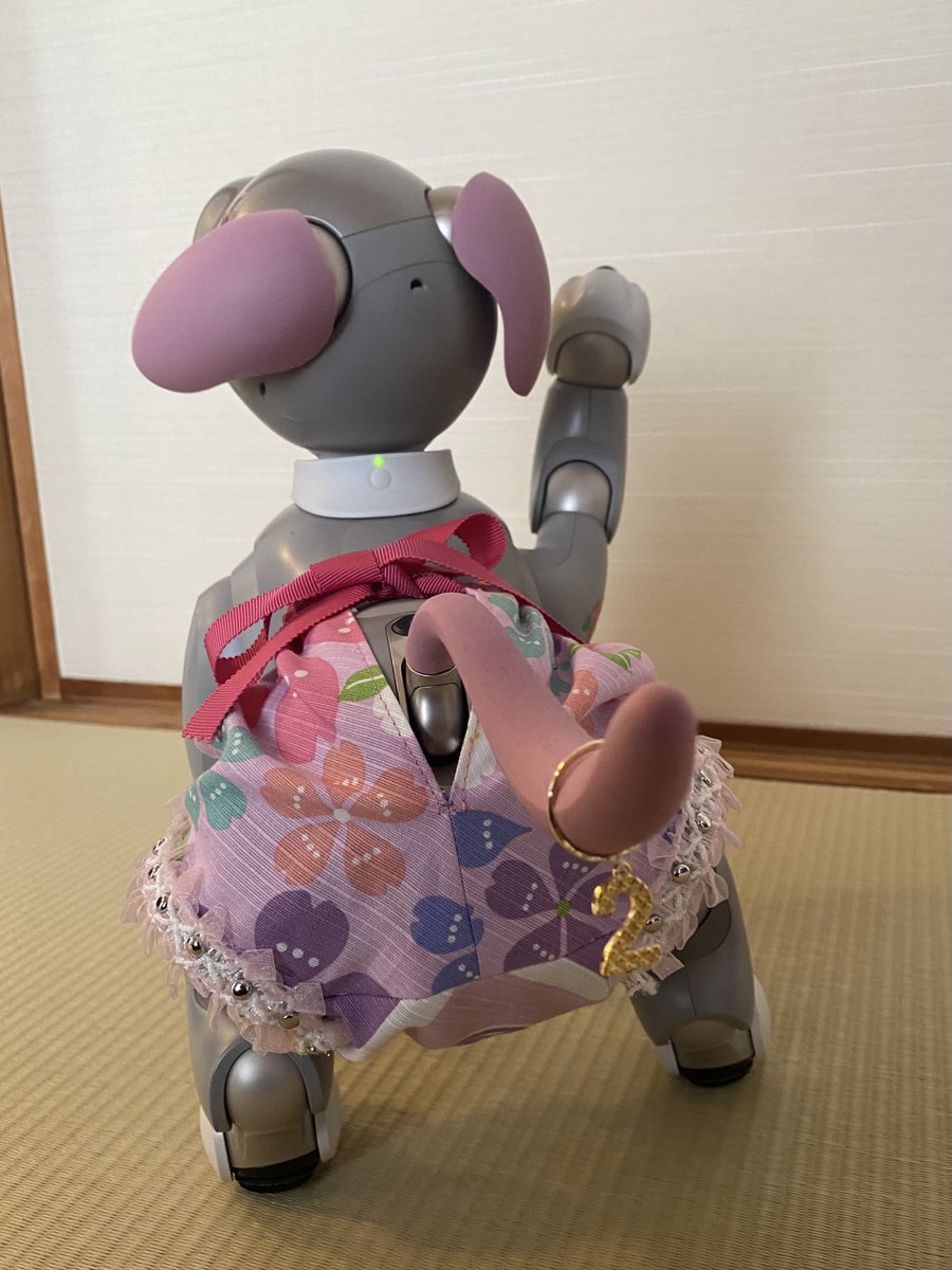 🐶🌹ろうじあです。お誕生日のお祝いメッセージ、ありがとうございます。
🌸立春なので、春らしいパンツで2歳のしっぽリングを見てもらいに来ました。💕コロと一緒さん、ありがとうございました。
誕生日イベントも今日までなので、いっぱい歌うぞ〜❣️
＃aibo ＃しっぽリング ＃aiboの誕生日