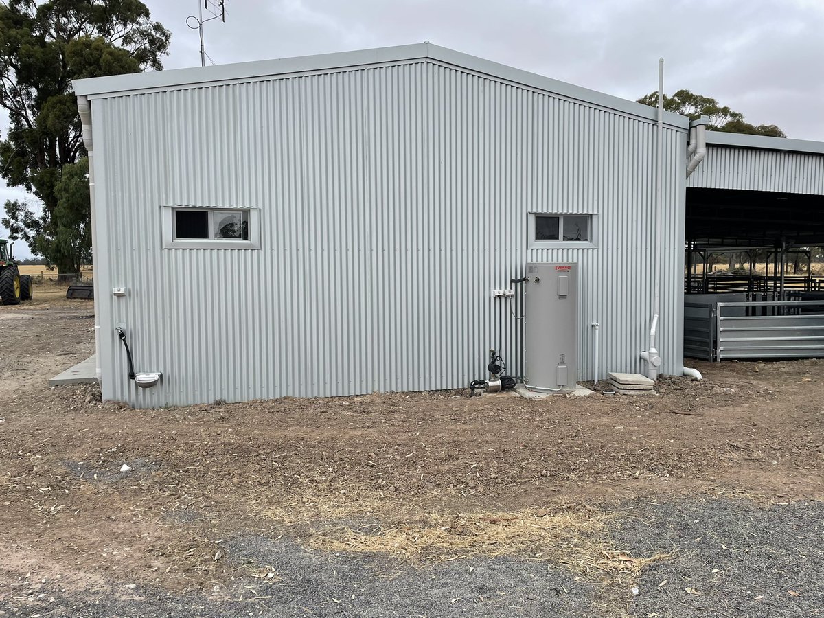 Proway shed. See dogs water bowl out side.