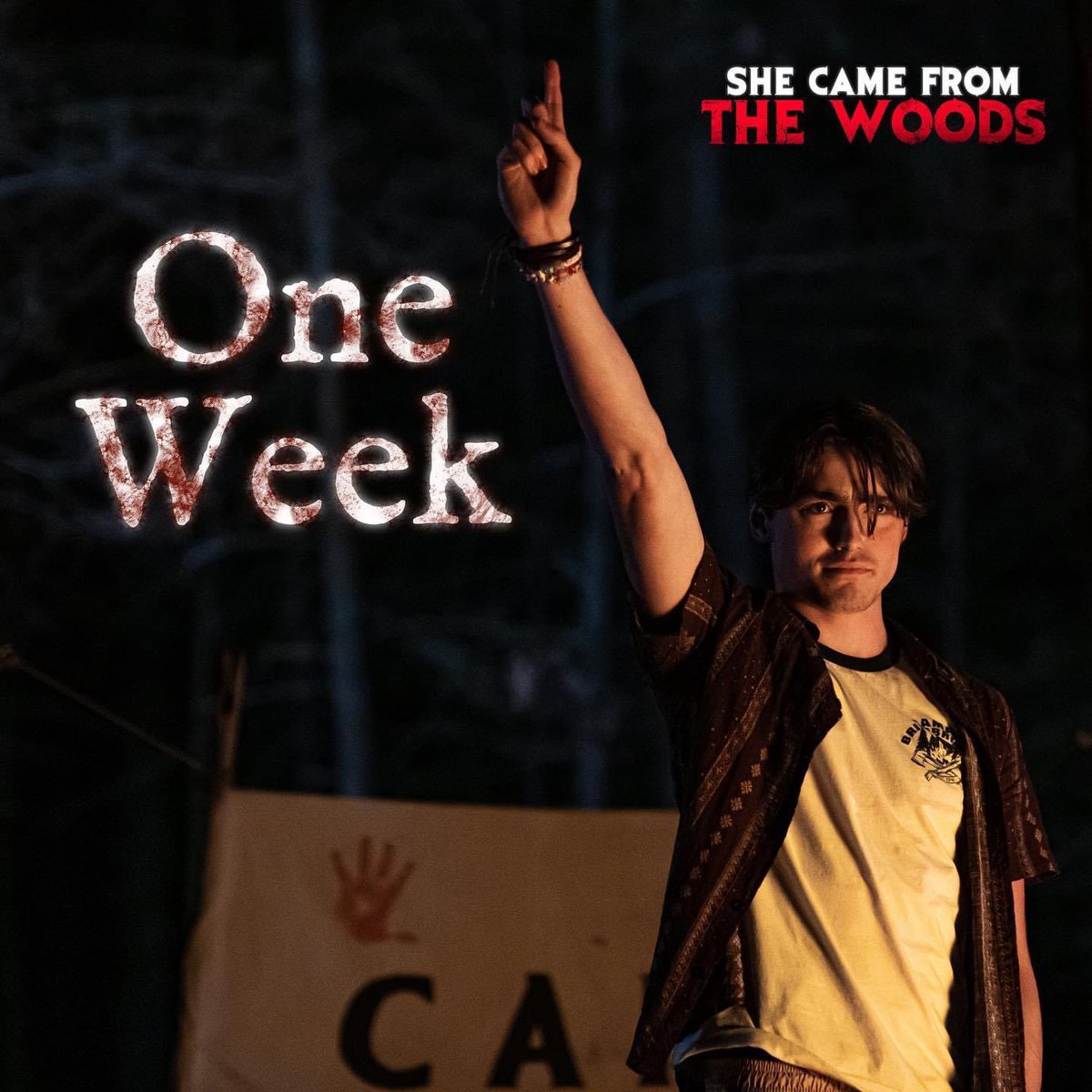 LarryDwyer's tweet photo. Friends! βShe Came from the Woodsβ releases in one week and advance ticket sales are live now. Head here to watch the trailer and find a theater playing it near you and please SHARE! https://t.co/UP27HxftIp @PromoteHorror @kinky_horror #Horror #MutantFam #SCFTW #CultFilm https://t.co/2JhHnO7cMs