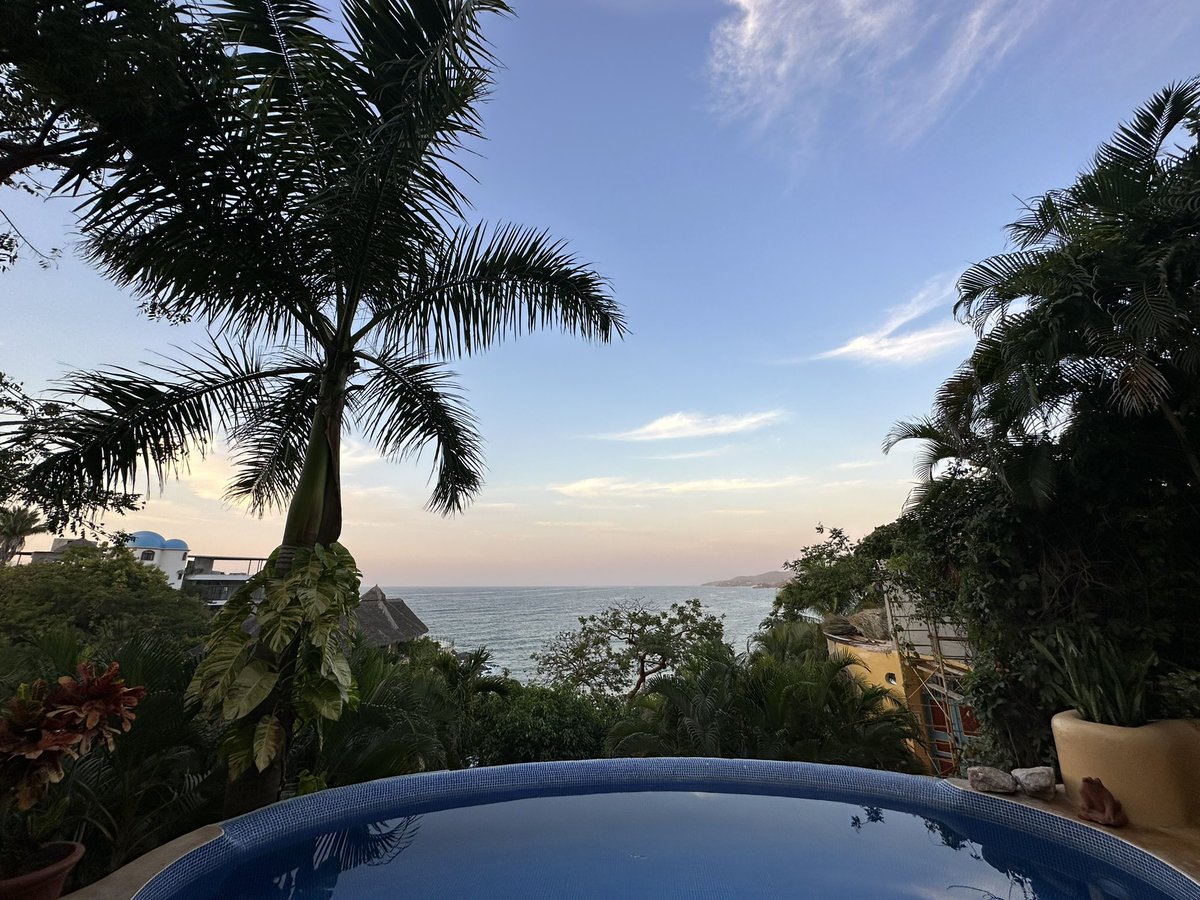 jayks's tweet photo. 🌴 https://t.co/8hPUGagR5B