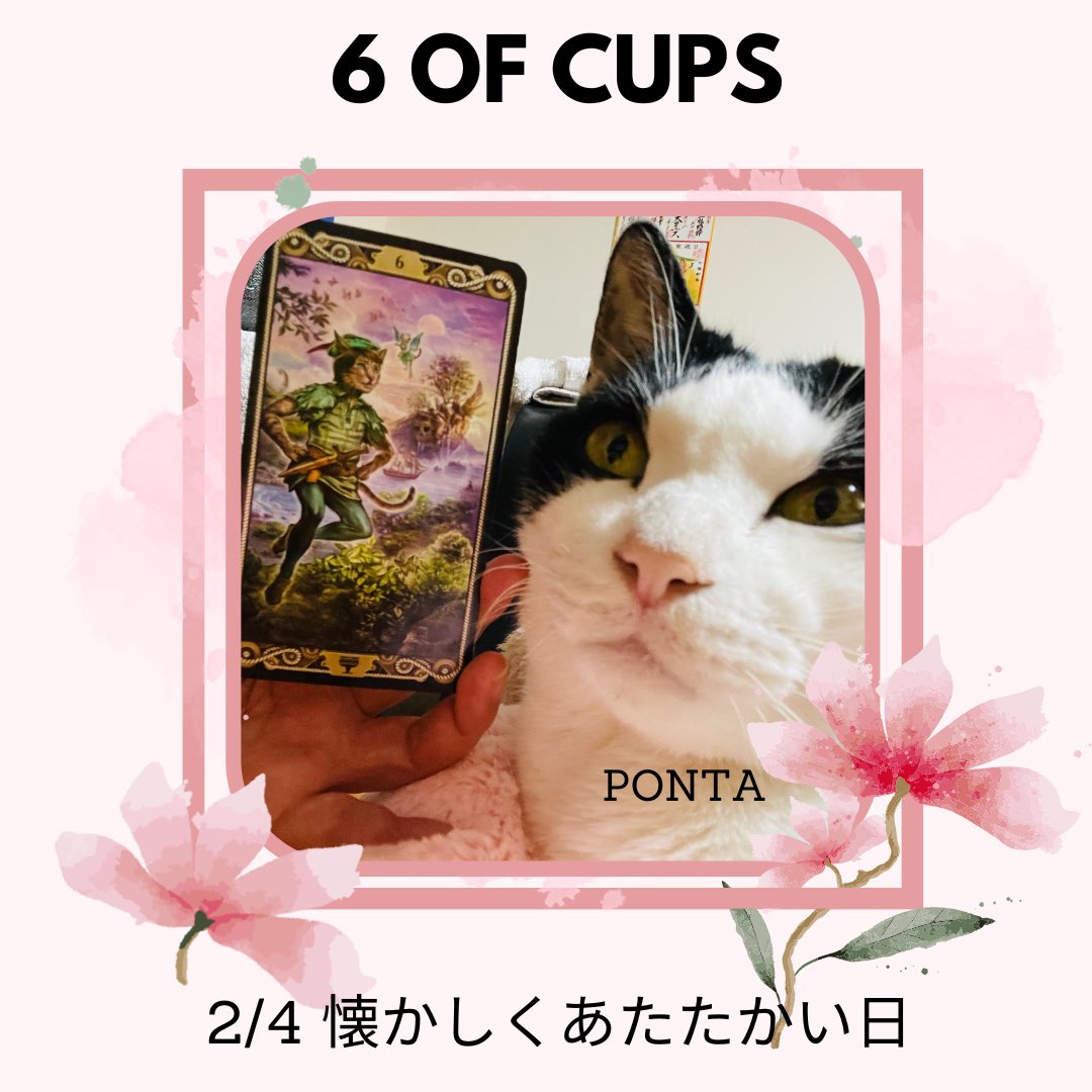 oraclerinko's tweet image. 2/4懐かしくあたたかい日🫶昔の記憶や出来事に触れると同時にその頃のピュアな気持ちが蘇ります。ありのままの、のびのびしたあなたで過ごせるでしょう✨懐かしい相手との再会があるかも😚子供の頃を思い出して思い出をなぞってみましょう🥰 #6ofCUPS #今日から春ﾆｬ #タロット #猫