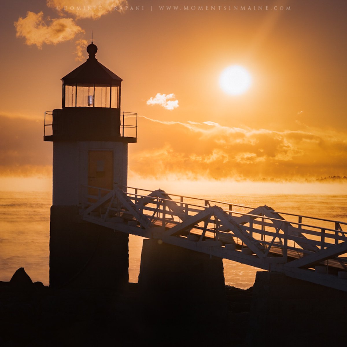 Dominic Trapani tweet media