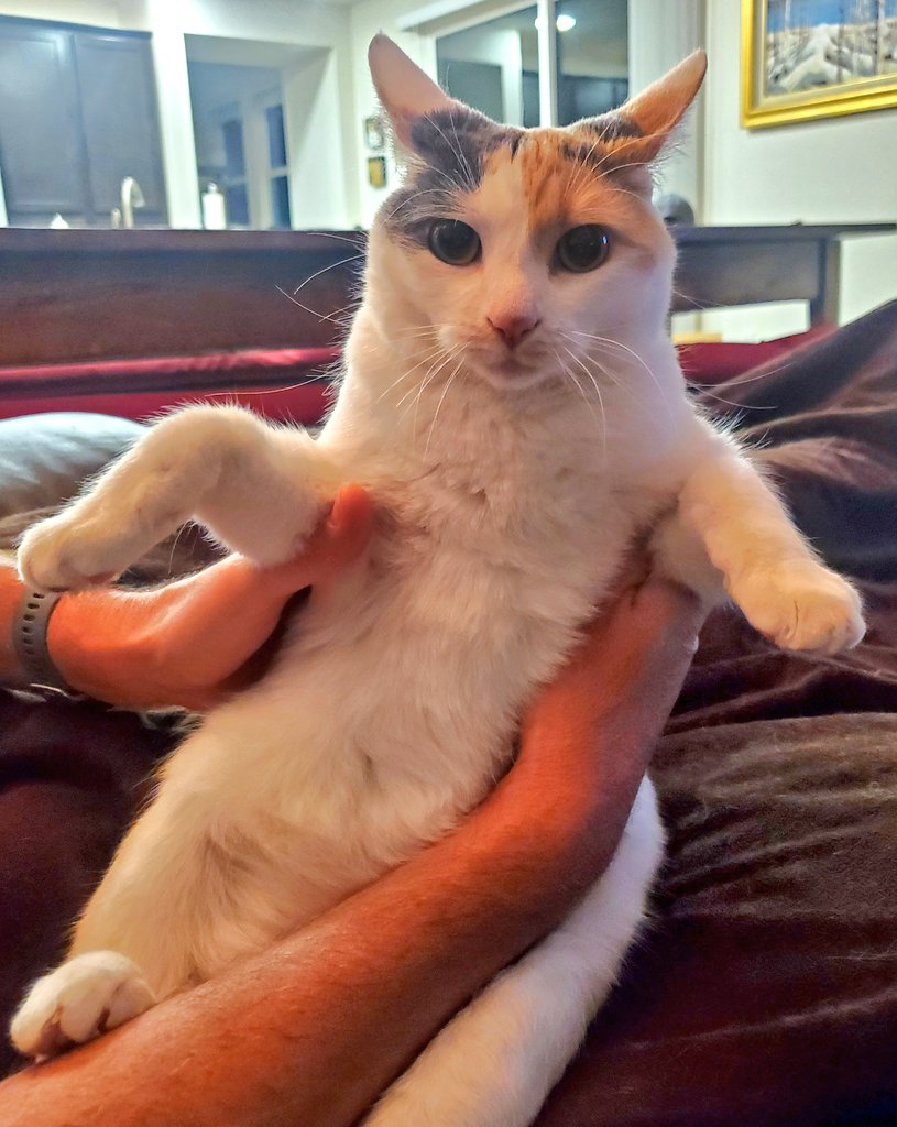 Tracy Redmond tweet media