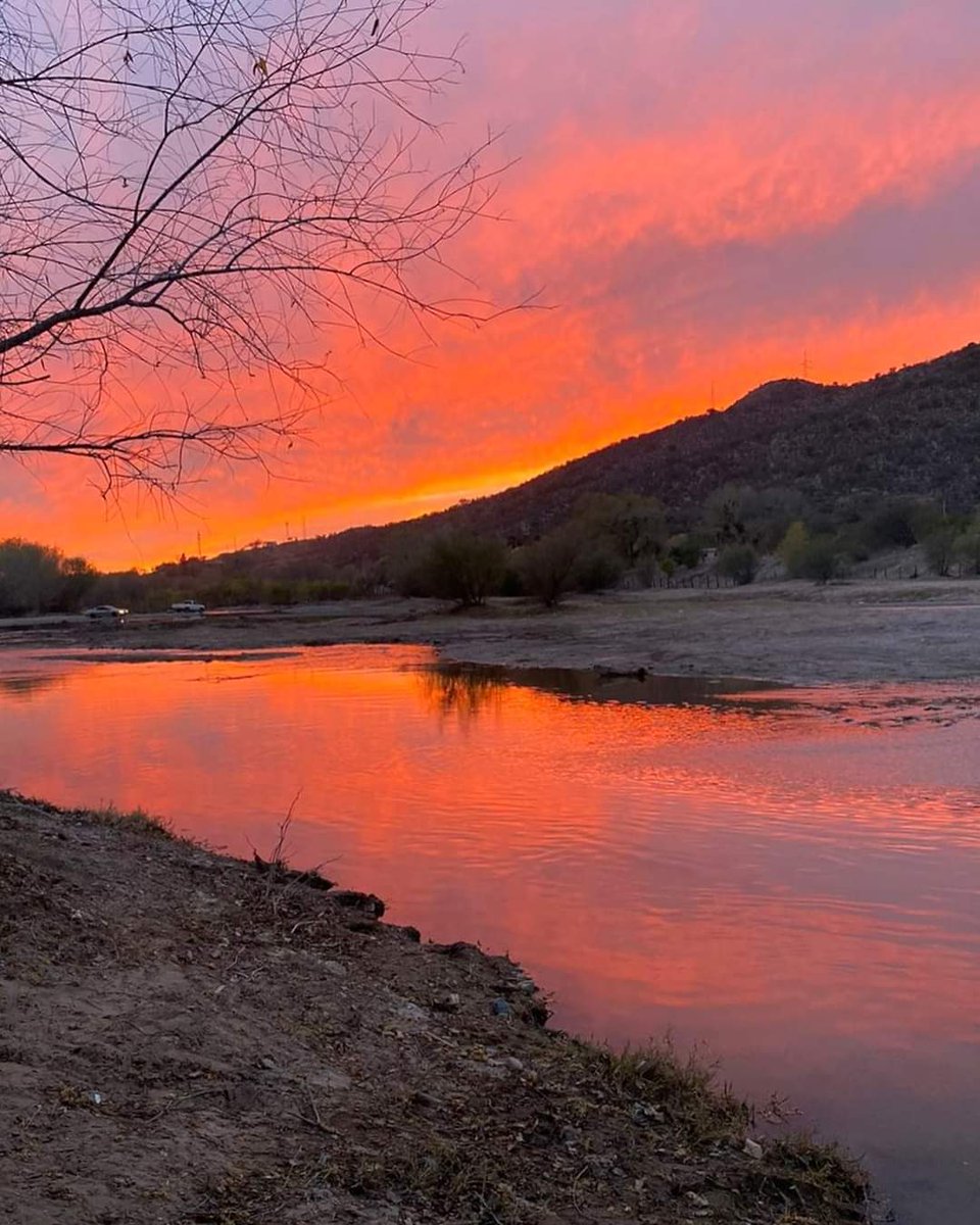 VisitSonora's tweet photo. Así se vio el atardecer en el río del #pueblomágico Magdalena de Kino, Sonora ✨🌅

#visitsonora #visitmexico #seeyouinsonora #presumosonora #travel #travelphotography #pueblomagico #magictown https://t.co/GIoICEfs9c