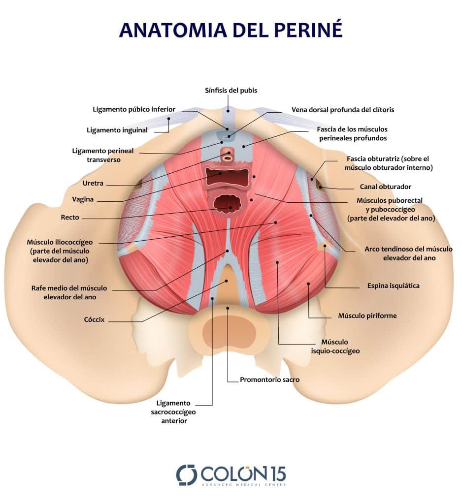 Dr. Patricio Toapanta tweet media