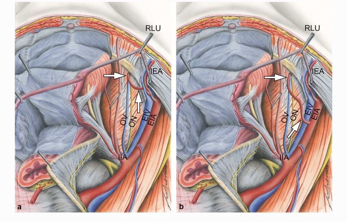 Dr. Patricio Toapanta tweet media