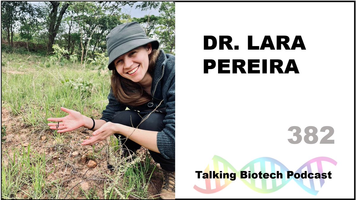 Talking Biotech 382 - Chunks of plant DNA are naturally moving between species. Lateral gene transfer is remarkably common, and has huge implications for how we think about evolution, ecology and #GMO regulation. <a href="/ASPB/">ASPB</a> @ashs_hort <a href="/sheffielduni/">The University of Sheffield</a> share.transistor.fm/s/4b3c05a5