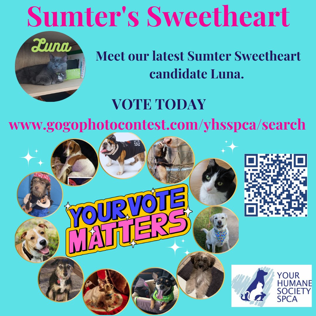 HAVE YOU VOTED YET???? We need everyone to vote!!! ANYONE ANYWHERE CAN VOTE! Every vote counts AND helps animals in Sumter County...What are you waiting for??
It's easy and fun! Go to gogophotocontest.com/yhsspca
See all our other wonderful candidates at gogophotocontest.com/yhsspca/search