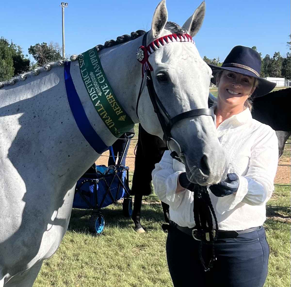 Jo_McKinnon's tweet photo. First show for Andaz (by Dash for Cash) 1st led thoroughbred gelding &amp; reserve champion thoroughbred of the Uralla Agricultural Show 💎🥇😃 Thrilled with his debut 👏🏻 https://t.co/qn0wm09g2x