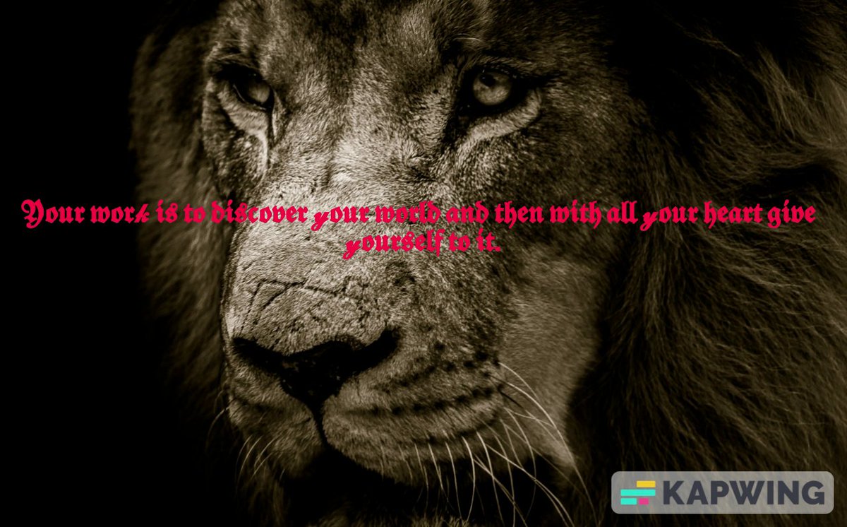 𝖄𝖔𝖚𝖗 𝖜𝖔𝖗𝓴 𝖎𝖘 𝖙𝖔 𝖉𝖎𝖘𝖈𝖔𝖛𝖊𝖗 𝔂𝖔𝖚𝖗 𝖜𝖔𝖗𝖑𝖉 𝖆𝖓𝖉 𝖙𝖍𝖊𝖓 𝖜𝖎𝖙𝖍 𝖆𝖑𝖑 𝔂𝖔𝖚𝖗 𝖍𝖊𝖆𝖗𝖙 𝖌𝖎𝖛𝖊 𝔂𝖔𝖚𝖗𝖘𝖊𝖑𝖋 𝖙𝖔 𝖎𝖙.