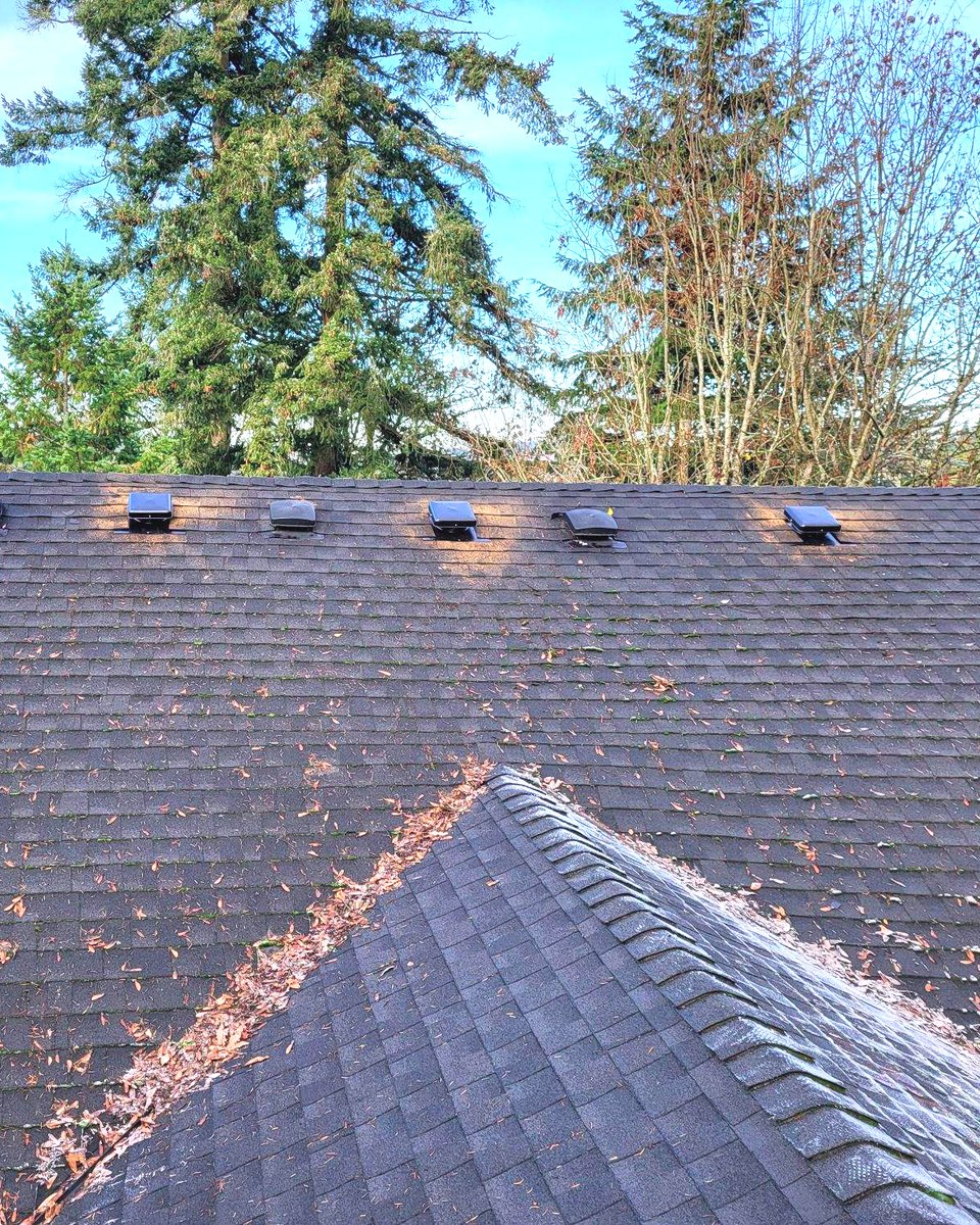 IbexRoof's tweet photo. Not all roofs are created equal! After seeing the issues with the previous installation, we decided to replace it. Now the property looks amazing!

#roofmaintenance #roofrepair #reroof #newroof #roofreplacement https://t.co/2KOnkqiwd4