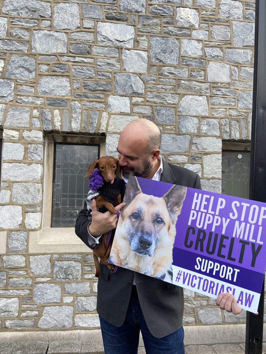 FigWorld's tweet photo. I was so happy to finally meet @marcthevet today! We talked all about @VictoriasLaw1 &amp; how all puppy mill dogs need to be rescued just like I was. I also have decided that I want to direct movies! Love you, Auntie Marc! #VictoriasLaw #Dogspiracy https://t.co/gvGtQm8DZc