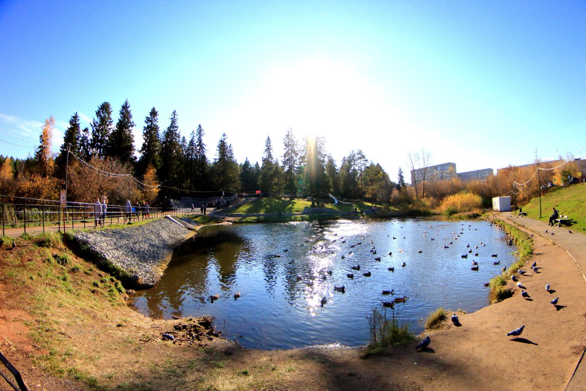 Красоты России tweet media