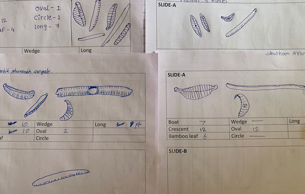 This month's 'one-day at school', we spoke on “Diatoms as a tool to create environmental awareness” at Sundarbai Marathe School, Wagholi, Pune, attended by ~60 8th-grade students. Students made amazing #diatom and #river sketches. @ari_pune  #scienceoutreach #mulamutha