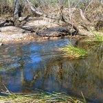 Image for the Tweet beginning: #hike #hiking #hikingadventures #River #SanDiego