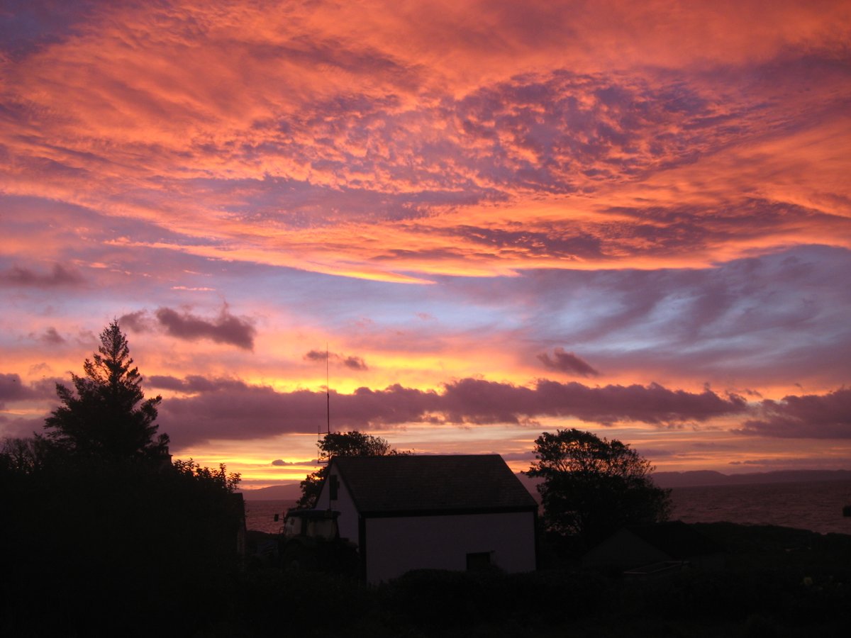 CalMac Service Info tweet media